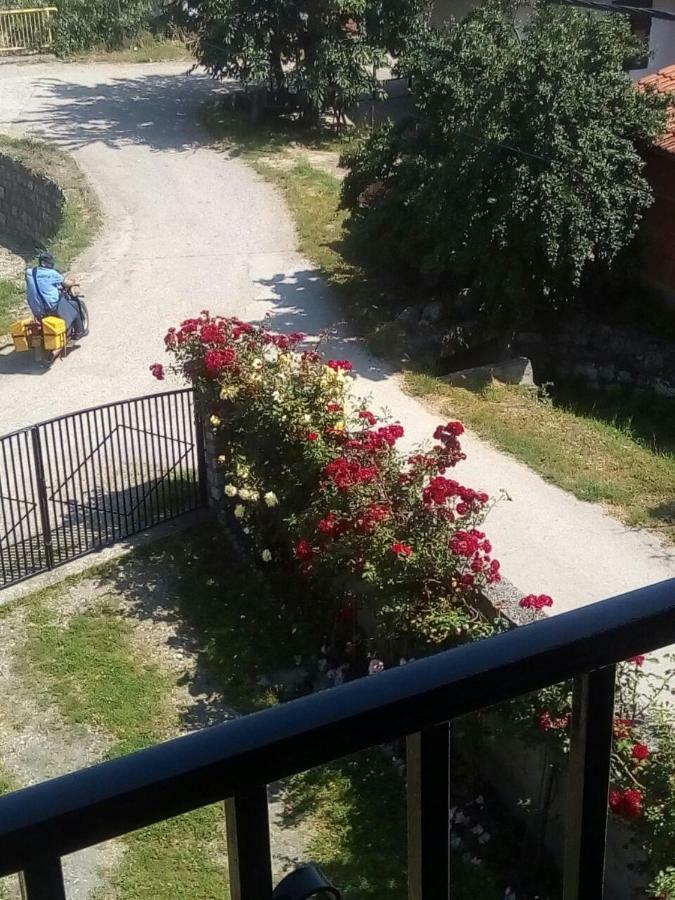 Sobe Seka Hotel Голубац Екстериор снимка